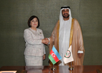 Milli Məclisin sədri Sahibə Qafarova Ərəb Parlamentinin Prezidenti ilə görüşüb