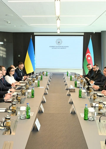 Ukraynanın səhiyyə naziri ilə görüş keçirilib