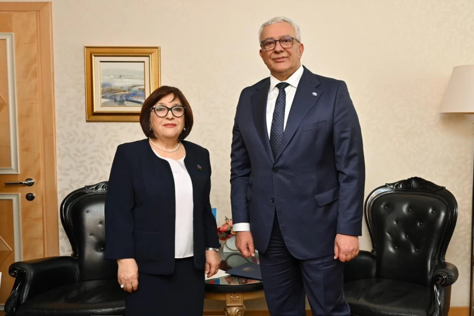 Sahibə Qafarova Monteneqro parlamentinin sədri ilə görüşüb