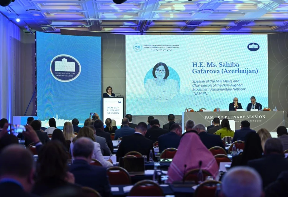 Sahibə Qafarova: Parlament diplomatiyası fikir ayrılıqları olduğu hallarda da konstruktiv əməkdaşlıq üçün platforma təqdim etməlidir