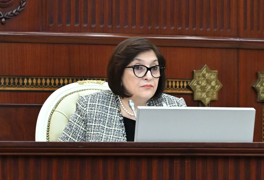 Sahibə Qafarova: Son 23 il Azərbaycanın dövlətçilik tarixinə dinamik və hərtərəfli inkişaf dövrü kimi daxil olub