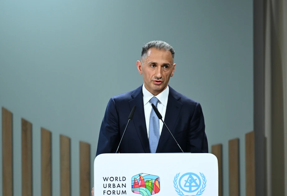 Rəşad Nəbiyev WUF13-də çıxış edib