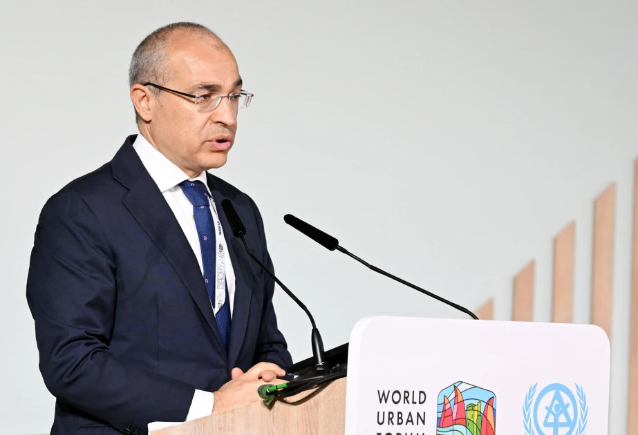 Mikayıl Cabbarov: Məşğulluğun leqallaşdırılmasından daxil olan gəlirlərin həcmi üç dəfədən çox artıb