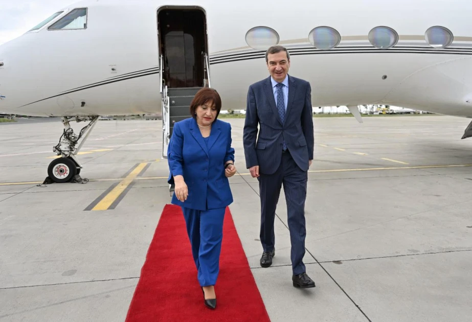 Milli Məclisin sədri Serbiyaya işgüzar səfərə gedib