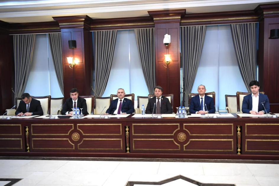 Beynəlxalq Siqh Federasiyasının nümayəndələri Milli Məclisdə olublar