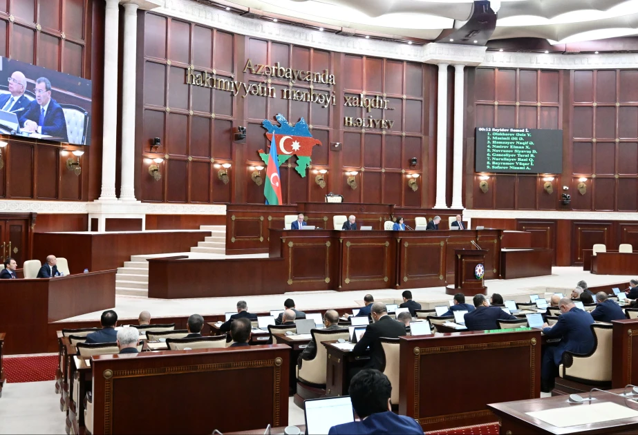 Prezidentin Naxçıvan MR-də səlahiyyətli nümayəndəliyi 1-ci kateqoriya dövlət orqanı statusuna malik olacaq