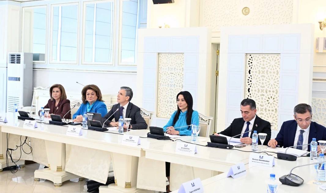 Milli Məclisdə ictimai dinləmə: Sosial şəbəkələrlə bağlı yeni qanun layihəsi müzakirə olunub