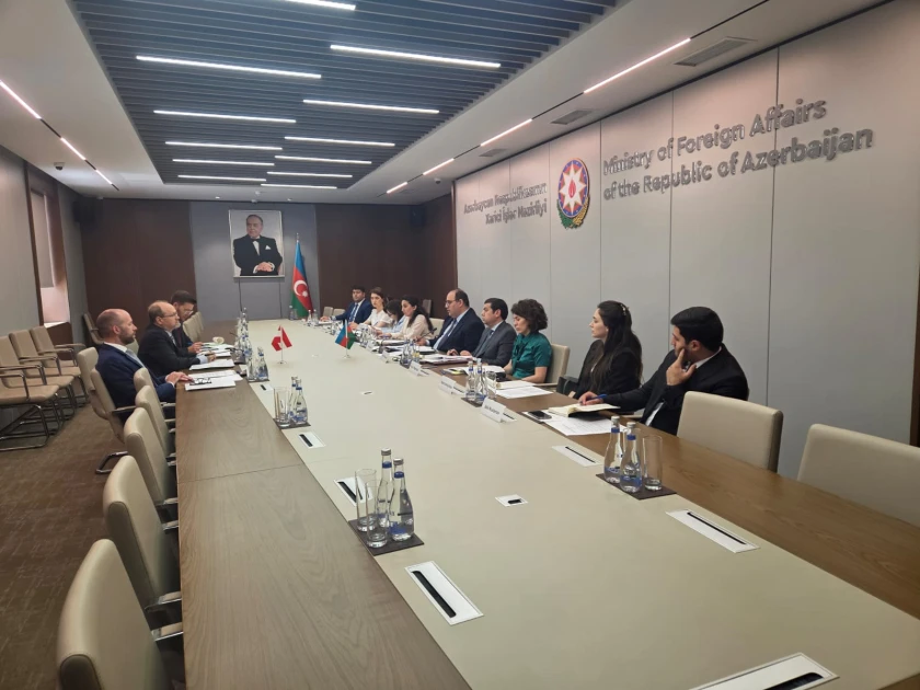 Azərbaycan və Avstriya Xarici İşlər nazirlikləri arasında konsulluq məsləhətləşmələri aparılıb