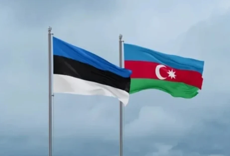 Azərbaycan və Estoniya arasında növbəti siyasi məsləhətləşmələr aparılıb