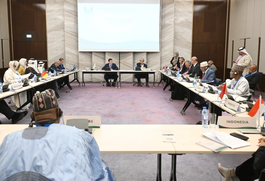 Bakıda İslam mədəni irsinin və dini təsisatların mühafizəsi, islamofobiya ilə mübarizə məsələləri müzakirə olunub