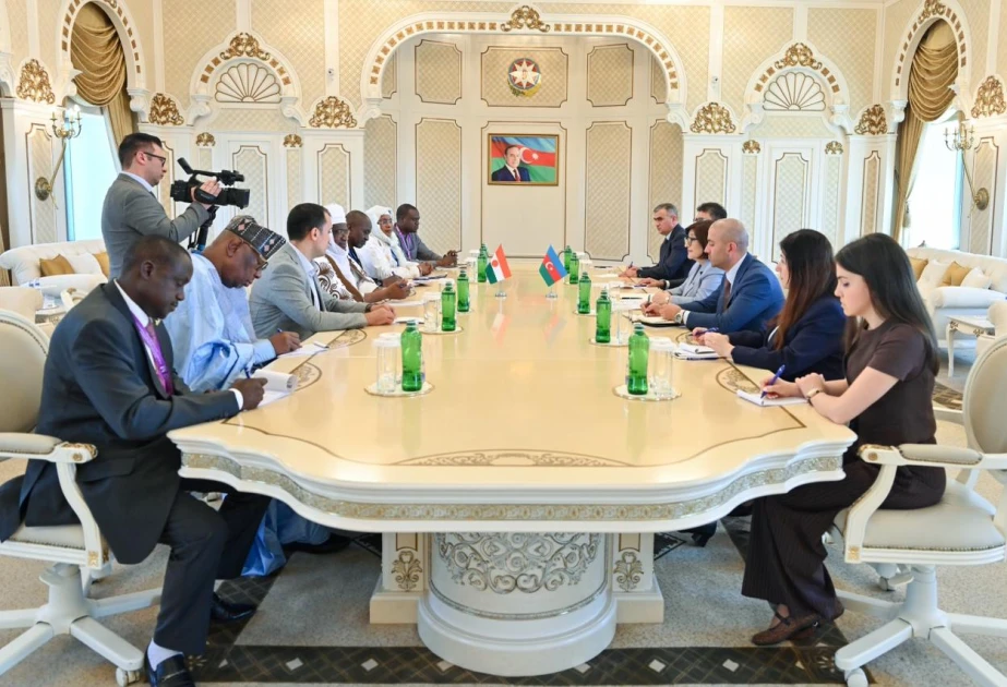 Niger Azərbaycanın enerji sahəsində təcrübəsindən yararlanmaq istəyir
