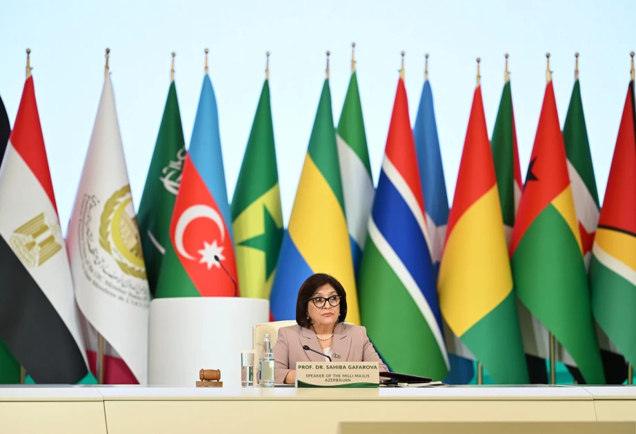 Sahibə Qafarova: İslam dünyası ortaq çağırışlara qarşı birgə fəaliyyət göstərməlidir