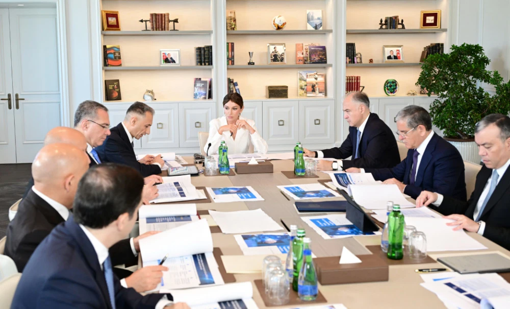 Birinci vitse-prezident Mehriban Əliyevanın sədrliyi ilə Rəqəmsal İnkişaf Şurasının ilk iclası keçirilib 