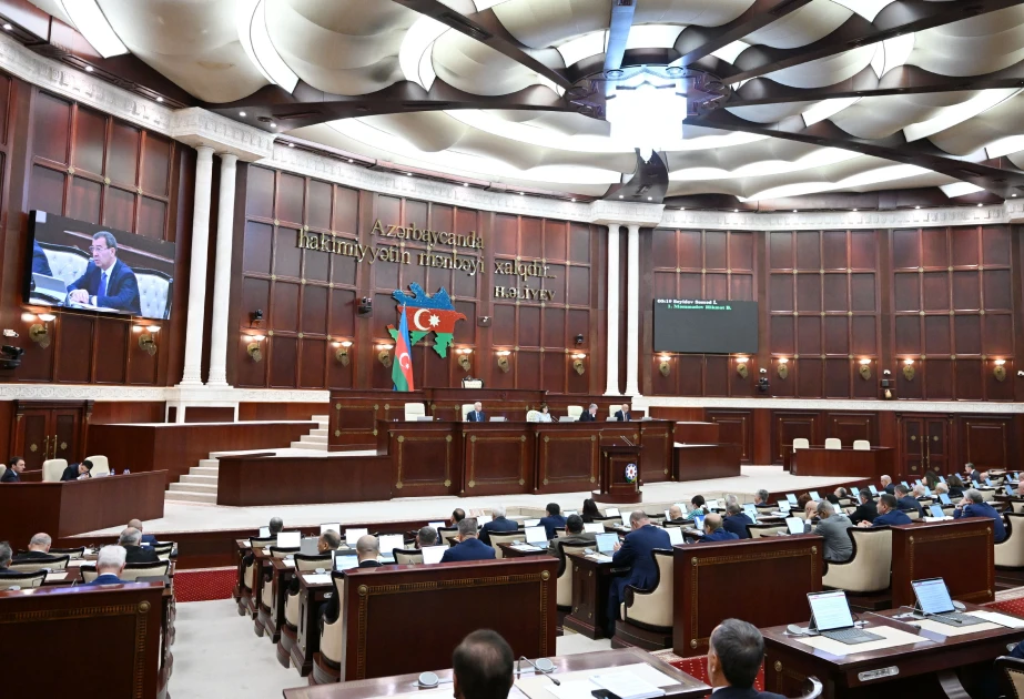 Sosial şəbəkələrdə uşaqların hüquqlarının qorunmasına dair qanun layihəsi son oxunuşda qəbul edilib