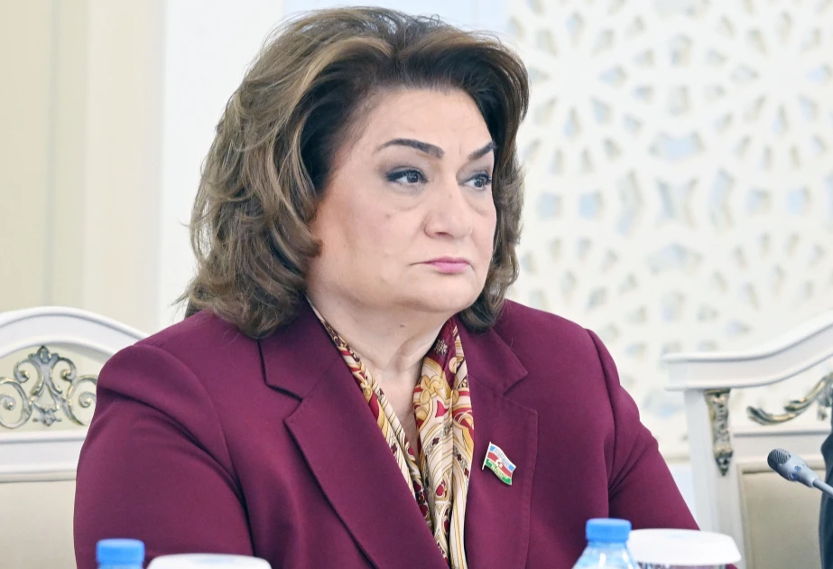 Hicran Hüseynova: Məqsəd uşaqların müasir texnologiyalardan təhlükəsiz istifadəsi üçün mühit yaratmaqdır