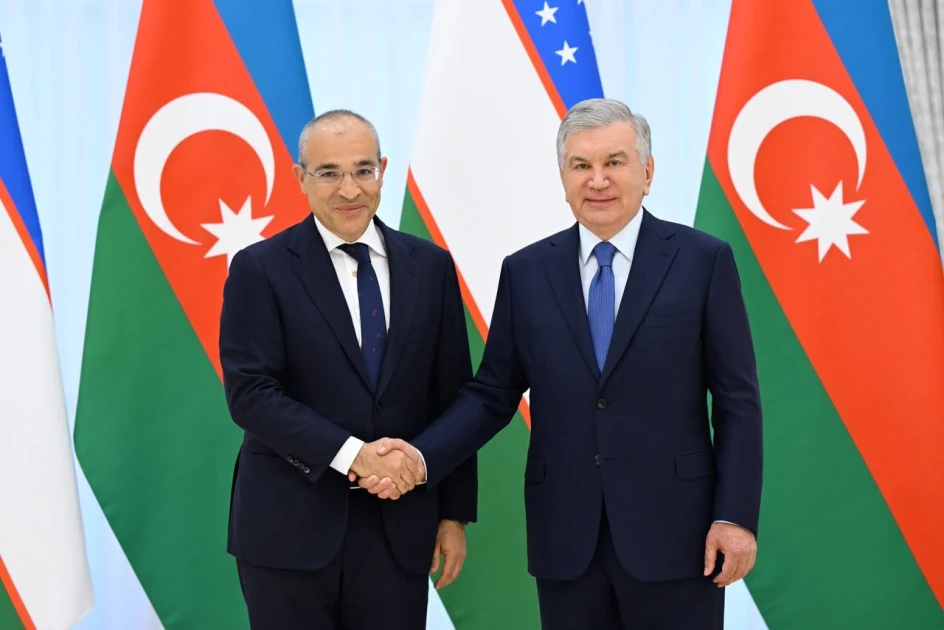 Özbəkistan Prezidenti Azərbaycanın iqtisadiyyat nazirini qəbul edib