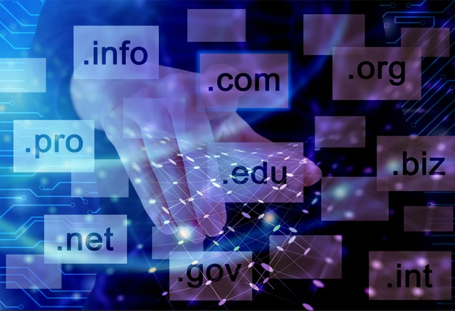 Yeddi ayda Azərbaycanda dövlət qurumlarına 28 yeni domen verilib