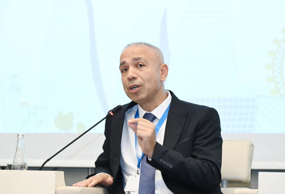Nazir müavini: Azərbaycanda bərpaolunan enerjinin inkişafı olduqca sürətlə gedir