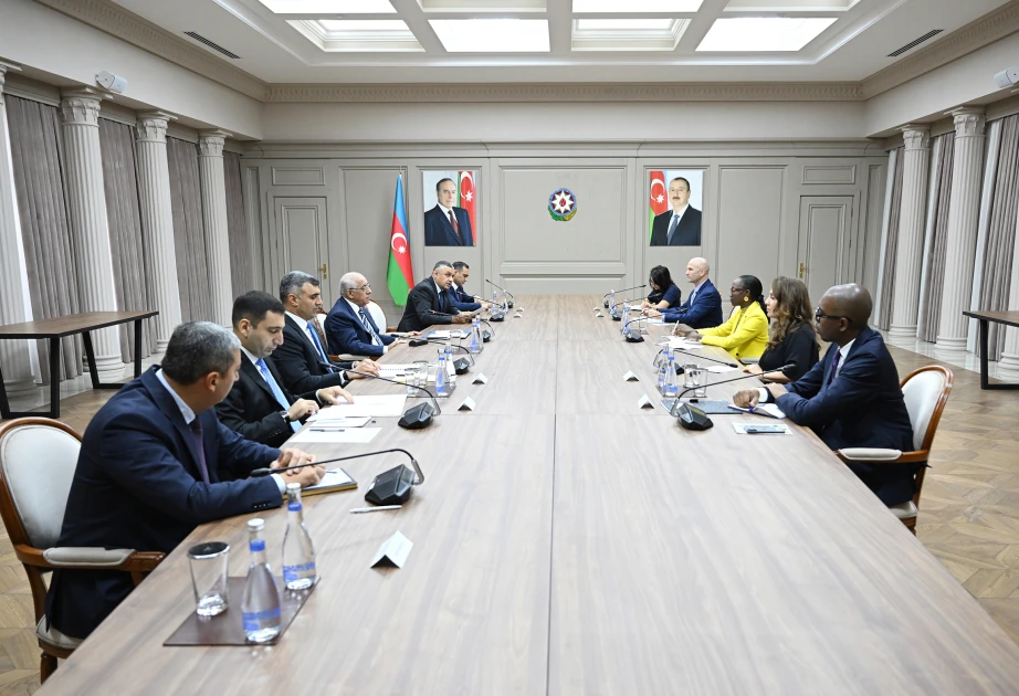 Baş nazir Əli Əsədov Dünya Bankının regional direktoru ilə görüşüb