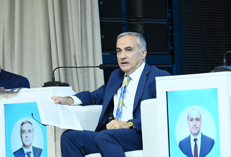 Fərid Şəfiyev: Orta Dəhliz hər hansı marşrutu əvəz etmir