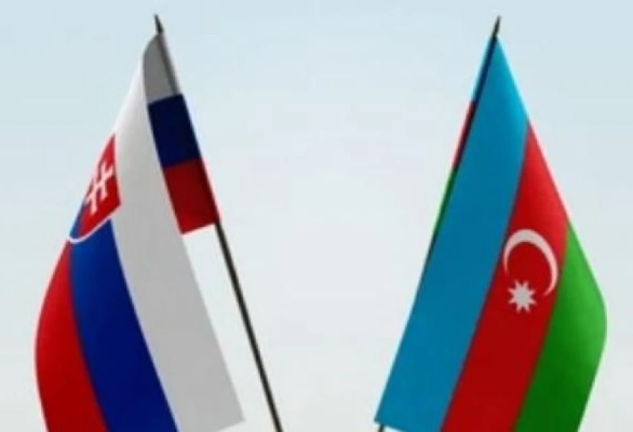 Slovakiya ilə məxfi məlumatın mübadiləsi və qarşılıqlı mühafizəsi həyata keçiriləcək
