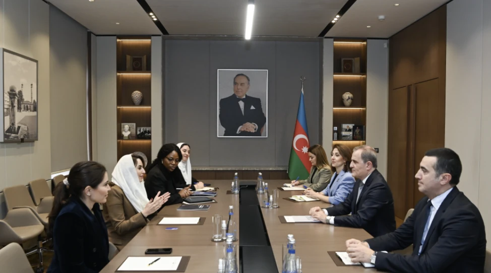 Rəqəmsal Əməkdaşlıq Təşkilatı ilə əməkdaşlıq genişləndirilir