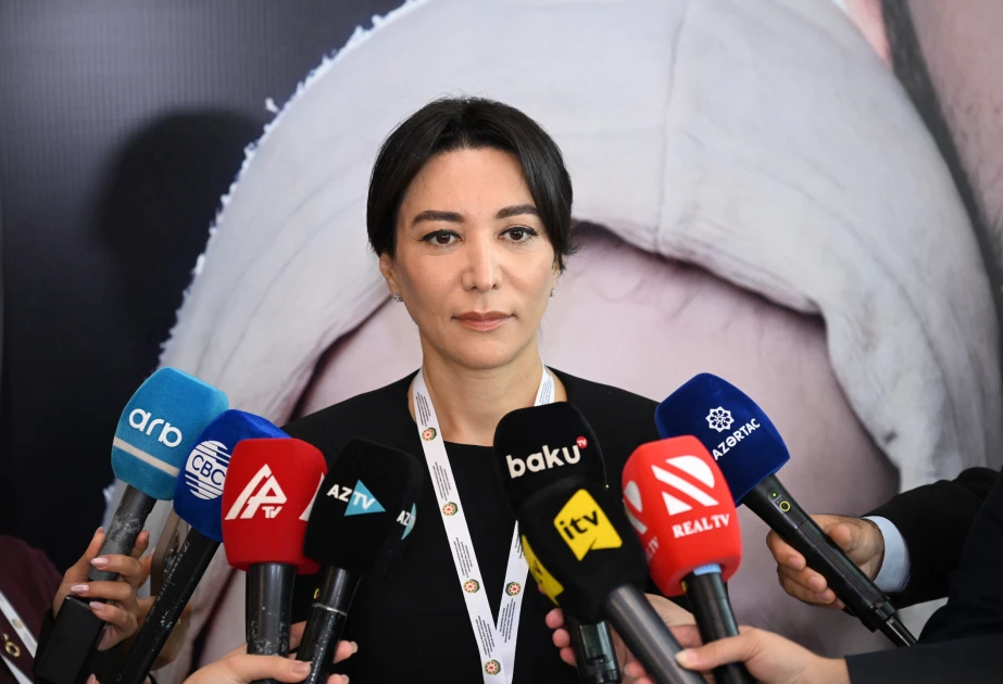 Ombudsman: Bakı Dialoqu formatında IV beynəlxalq konfransda səslənən rəqəmlər böyük ümid yaradır 