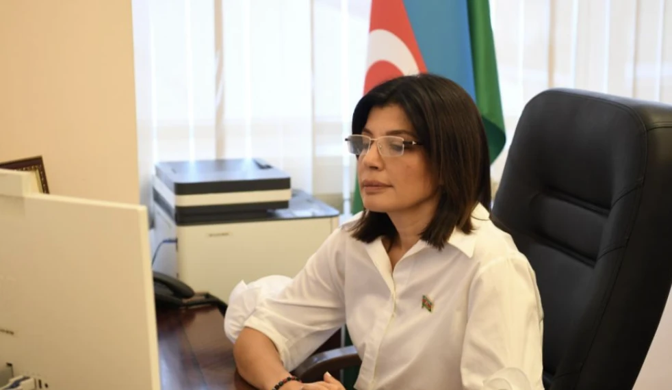 TÜRKPA-ya üzv dövlətlər arasında vahid informasiya məkanının yaradılması diqqət mərkəzində
