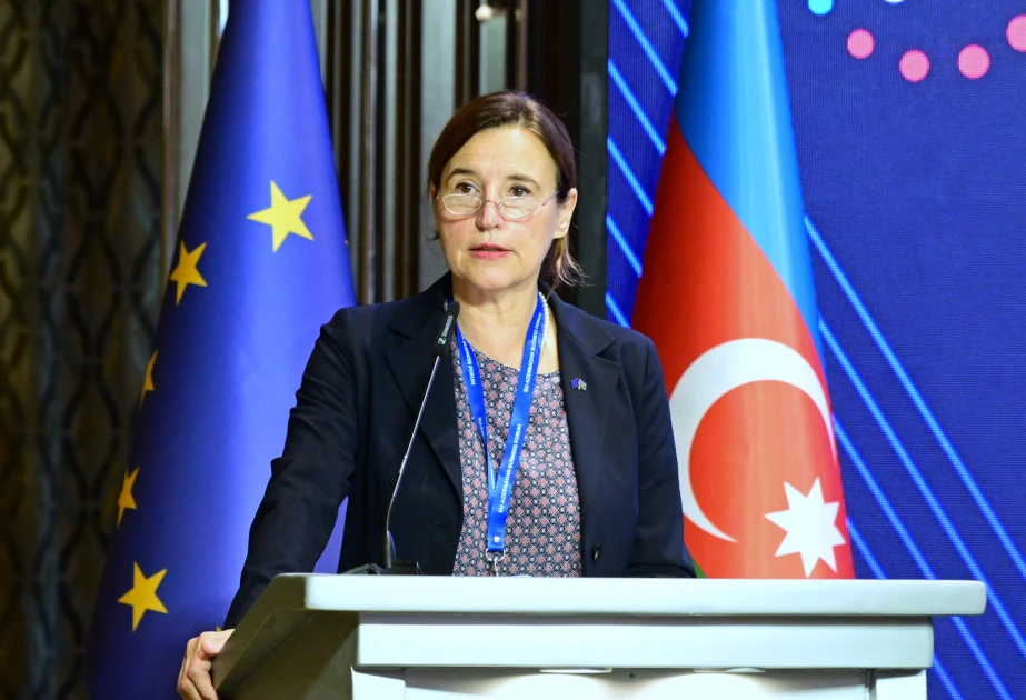 Mariyana Kuyunciç: Avropa şirkətlərinin Azərbaycanda bərpaolunan enerji sahəsinə investisiya yatırması üzərində iş aparılır