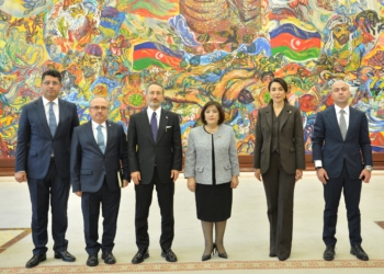 Milli Məclisin sədri Sahibə Qafarova Türkiyənin İnsan Hüquqları və Bərabərlik Qurumunun sədri ilə görüşüb