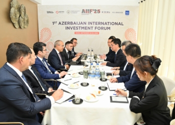 Çinin “Datang Overseas Investment Co” şirkətinin prezidenti ilə görüş keçirilib