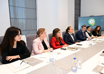 Çin nümayəndə heyəti ilə Mədəniyyət Nazirliyində görüş olub