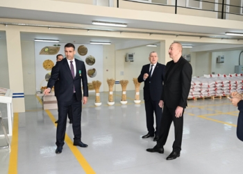 İlham Əliyev Sabirabad Sənaye Məhəlləsində “Azera Toxumçuluq” Məhdud Məsuliyyətli Cəmiyyətinin (MMC) toxum istehsalı müəssisəsinin fəaliyyəti ilə tanış olub