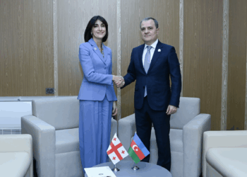 Nazir Ceyhun Bayramov Gürcüstanın xarici işlər naziri Maka Botçorişvili ilə görüşüb