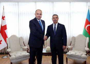 Azərbaycan müdafiə naziri gürcüstanlı həmkarı ilə görüşüb