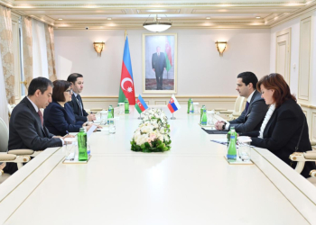Sahibə Qafarova səfirlə görüşdü