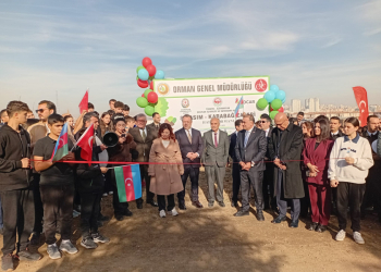 Ankarada 8 Noyabr – Zəfər Günü