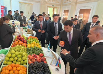 Məhsullarımız Aktauda