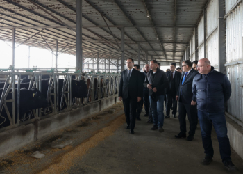 Kənd təsərrüfatı naziri Gürcüstanda