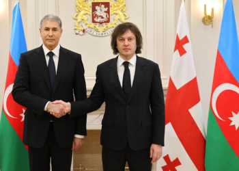 Gürcüstanın Baş naziri Vilayət Eyvazov ilə görüşüb