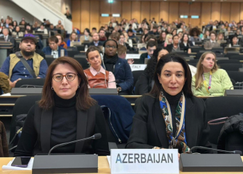 Səbinə Əliyeva BMT-nin Forumunda