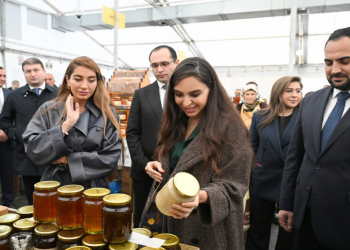 Leyla Əliyeva və Arzu Əliyeva sərgi-satış yarmarkasını ziyarət ediblər