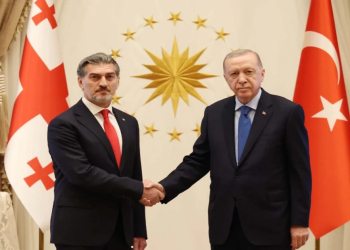 Gürcüstan Prezidenti təyyarə qəzası ilə əlaqədar Prezident Rəcəb Tayyib Ərdoğana başsağlığı verib