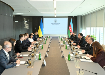 Ukraynanın səhiyyə naziri ilə görüş keçirilib