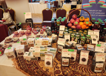 Kişineuda Azərbaycan öz stendi ilə təmsil olunub