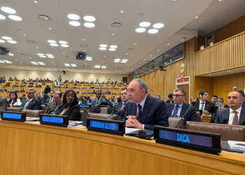 Kamran Əliyev Nyu-Yorkda konfransda iştirak edib