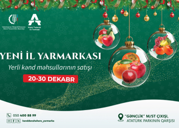 “Kənddən Şəhərə” Yeni il yarmarkası başlayır