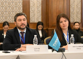 TÜRKPA və MDB PA yeni əməkdaşlıq imkanlarını müzakirə ediblər