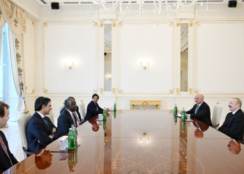 Prezident “Global Infrastructure Partners” direktorunu qəbul edib