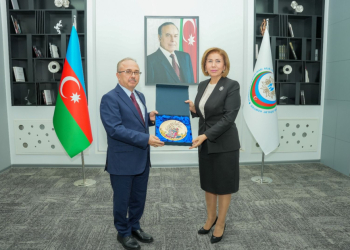 Bahar Muradova səfir ilə görüşüb